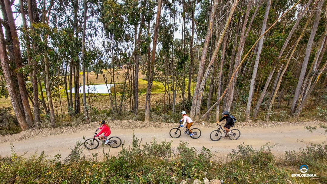 Tour bicicletas Bosque en el Valle Sagrado