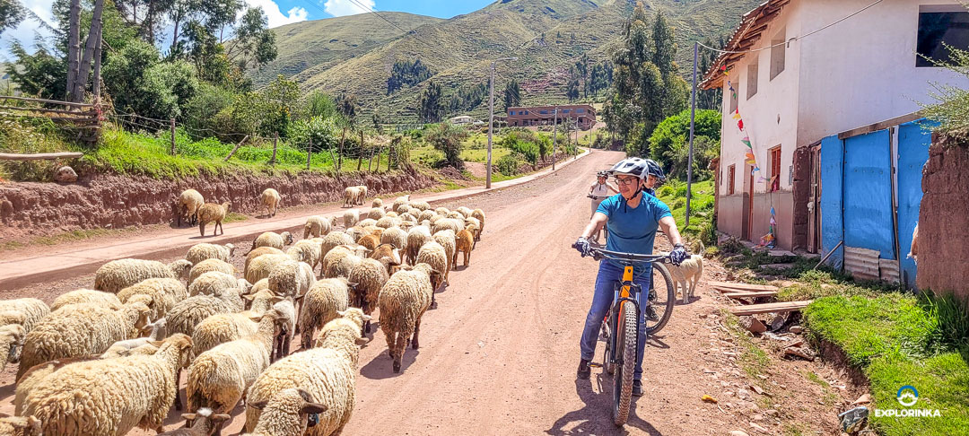 Bicicleta Por Cusco Yunkaypata 8